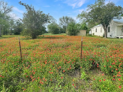 Primary bedroom at 1314 Farm St - Farm Lt, Bastrop, TX