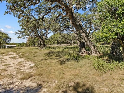 Kitchen at 1316 Greenlawn PKWY - Greenlawn Place, Blanco, TX
