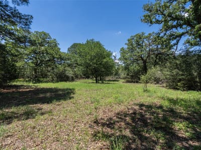 Primary bedroom at 133 Roundup Rdg - La Reata Ranch, Smithville, TX
