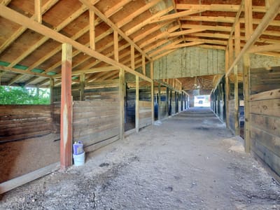 Primary bedroom at 13414 Elm Grove RD - Elm Grove Estates, Buda, TX