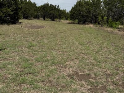Property photo 2 at 135 Eastwood LN - A0173 - Thomas H W Forsith Survey, San Marcos, TX