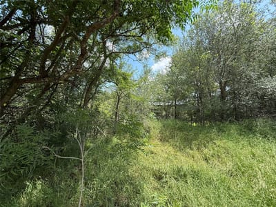 Property photo 3 at 135 Jackson ST - St Johns, Elgin, TX