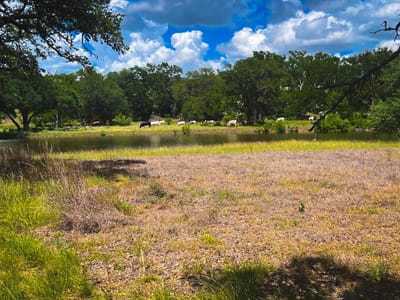 Primary bedroom at 1364 N Walnut Springs DR - The Preserve At Walnut Springs, Johnson City, TX