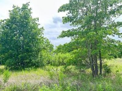 Primary bedroom at 136A Wild Bird Loop - Pine Cove Estates, Smithville, TX