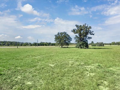 Living area at 137 Waterbuck Way - The Range, Rosanky, TX