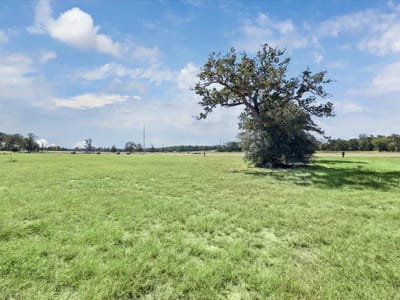 Kitchen at 137 Waterbuck Way - The Range, Rosanky, TX