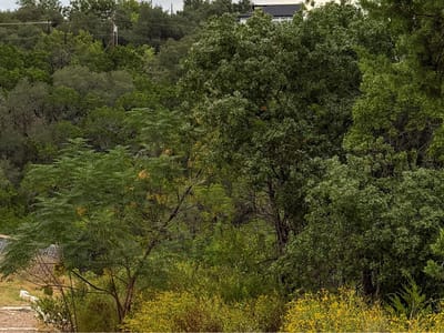 Living area at 13912 Saskatchewan Dr - Apache Shores Sec 06, Austin, TX
