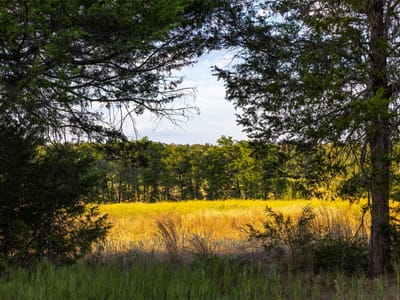 Property photo 5 at 1400 Fm 535 - Garrett, John V L Evans, Smithville, TX