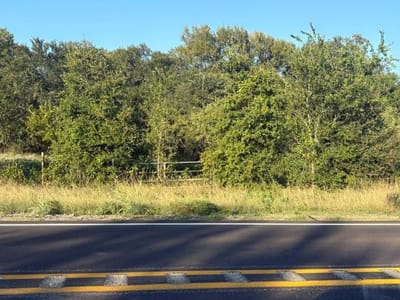 Property photo 2 at 1401 FM 713 - Happy Chick Meadows, Lockhart, TX