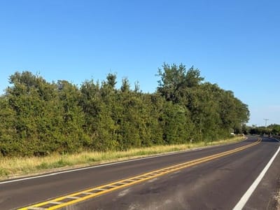 Property photo 3 at 1401 FM 713 - Happy Chick Meadows, Lockhart, TX