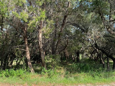 Bathroom at 1401 Sharps Rd - Apache Shores Sec 05, Austin, TX