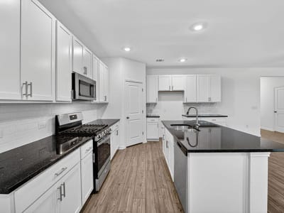 Kitchen at 14124 Edna Maxine Walk - 4 bed 3 bath home