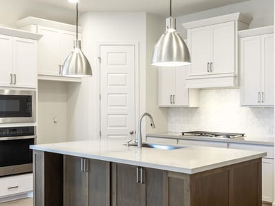 Kitchen at 1413 Purple Petunia LN - 4 bed 3 bath home