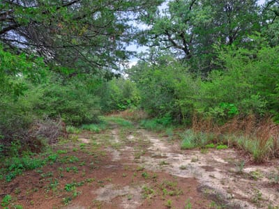 Primary bedroom at 1420 Cr C - Blue Properties Sec C, Lexington, TX