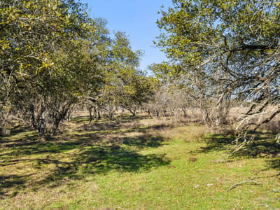 Primary bedroom at 1422 Rm 2766 - Redbud Ranch, Johnson City, TX