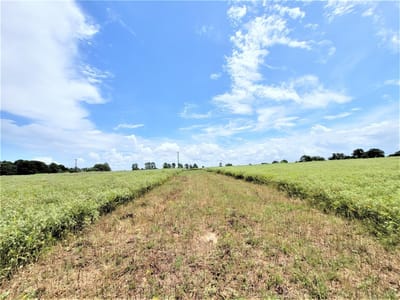 Property photo 4 at 1450 Cattlemens Row Unit #Tract 3 - Sc Tunage Surv Abs-296, Lockhart, TX