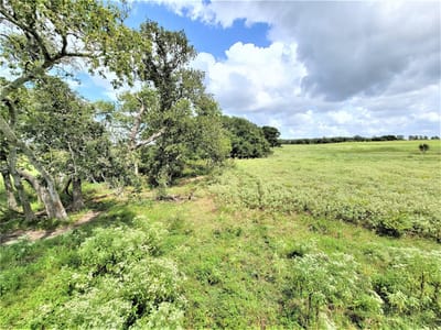 Property photo 5 at 1450 Cattlemens Row Unit #Tract 3 - Sc Tunage Surv Abs-296, Lockhart, TX