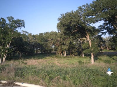 Primary bedroom at 148 W Rio Ranch Rd - Rio Ranch, Liberty Hill, TX