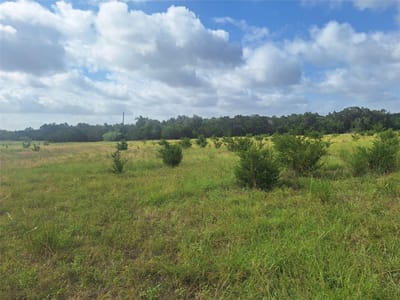 Primary bedroom at 1483 County Road 281 - JENKS, J. SUR.,, Leander, TX