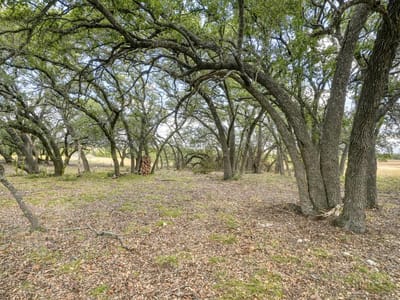 Primary bedroom at 149 County Road 103 - none, Lampasas, TX