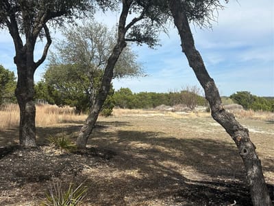 Primary bedroom at 14924 Faubion Trl Unit #4 - Roundmountain Oaks, Leander, TX