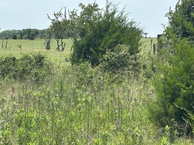Photo 2 - 1500 Bottoms East RD Photo 2 of 14 at 1500 Bottoms East RD - Troy, Troy, TX