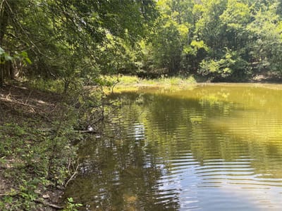 Photo 5 - 1500 Bottoms East RD Photo 5 of 14 at 1500 Bottoms East RD - Troy, Troy, TX