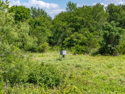 Primary bedroom at 1500 County Road 481 - none, Thrall, TX