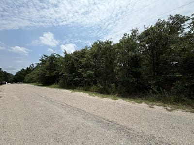 Primary bedroom at 151 S Buckhorn DR - Circle D, Bastrop, TX