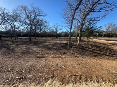 Primary bedroom at 152 Canyon Loop - Della Oasis, Cedar Creek, TX
