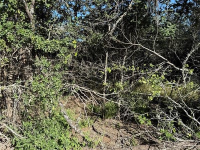 Property photo 2 at 152 Helemano DR - Tahitian Village,, Bastrop, TX