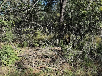 Property photo 3 at 152 Helemano DR - Tahitian Village,, Bastrop, TX