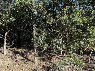 Property photo 4 at 152 Helemano DR - Tahitian Village,, Bastrop, TX