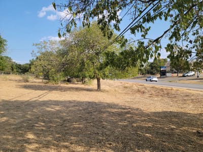 Primary bedroom at 1524 RR 12 Cir - Hughson Heights I, San Marcos, TX
