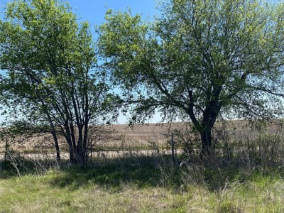 Photo 2 - 1536 County Road 3545 Photo 2 of 9 at 1536 County Road 3545 - Clifton, Clifton, TX
