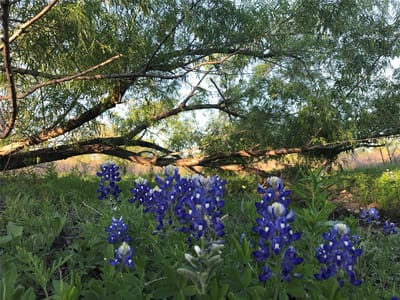 Primary bedroom at 15501 Goforth Rd - The Sanctuary, Buda, TX