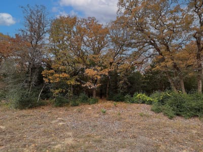 Primary bedroom at 1563 County Road 312 Rd - Oak View Ranch Tr 1, Thrall, TX