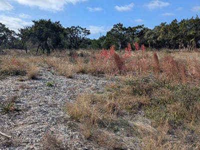 Living area at 15765 Hamilton Pool RD - Bobcat Rdg, Austin, TX