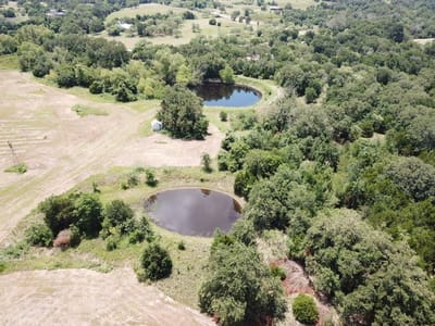 Property photo 4 at 159 N Cedar Creek DR - Walters, Jacob, Cedar Creek, TX