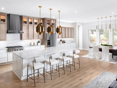 Kitchen at 159 Oswalt WAY - 4 bed 4 bath home