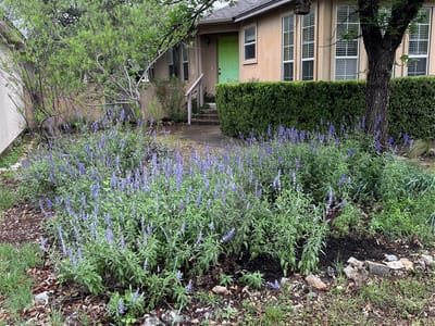 Photo 3 of 16 at 16 E Villa Meadow ST - 3 bed 3 bath home