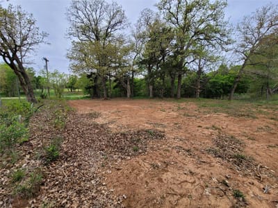 Property photo 2 at 160 Arbor Hill WAY - Arbor Hills, Cedar Creek, TX
