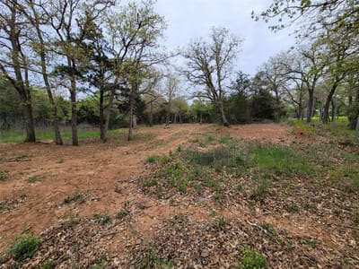 Property photo 4 at 160 Arbor Hill WAY - Arbor Hills, Cedar Creek, TX