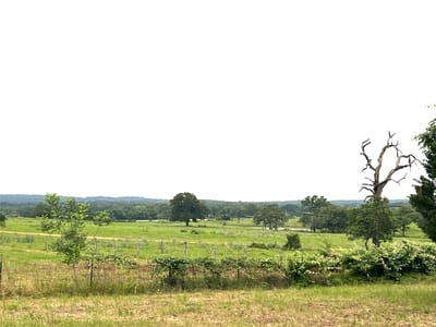 Living area at 160 Rosanky Cattle Company Rd Unit #R - Triple C Ranchettes, Smithville, TX