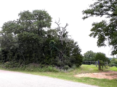 Primary bedroom at 160 Rosanky Cattle Company Rd Unit #R - Triple C Ranchettes, Smithville, TX