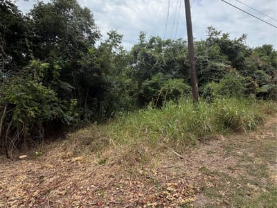 Property photo 2 at 161 Kahana LN - Tahitian Village,, Bastrop, TX