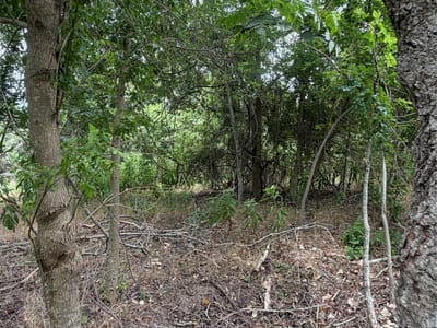 Property photo 4 at 161 Kahana LN - Tahitian Village,, Bastrop, TX