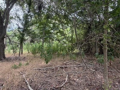 Property photo 5 at 161 Kahana LN - Tahitian Village,, Bastrop, TX