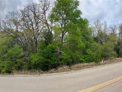 Property photo 3 at 162 & 164 W Kaanapali LN - Tahitian Village,, Bastrop, TX