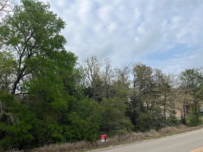 Property photo 4 at 162 & 164 W Kaanapali LN - Tahitian Village,, Bastrop, TX